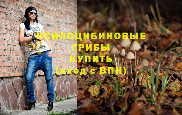 мет Аркадак
