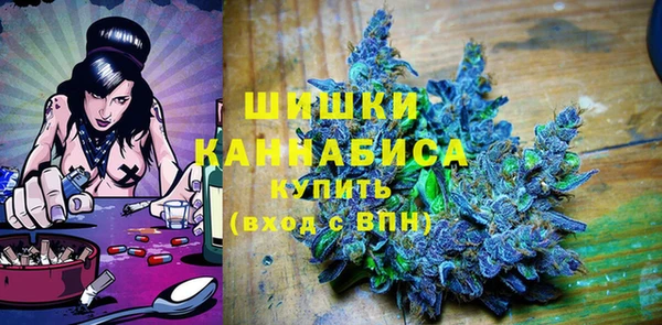 ГАЛЛЮЦИНОГЕННЫЕ ГРИБЫ Арсеньев
