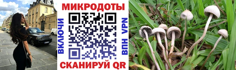 закладка  Великий Устюг  ссылка на мегу маркетплейс  Псилоцибиновые грибы Magic Shrooms 